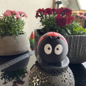 3D-Druck PLA Marienkäfer Ladybug Gartendeko Sommerdekoration Summer Decoration FDM